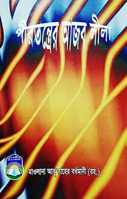 পীরতন্ত্রের আজবলীলা