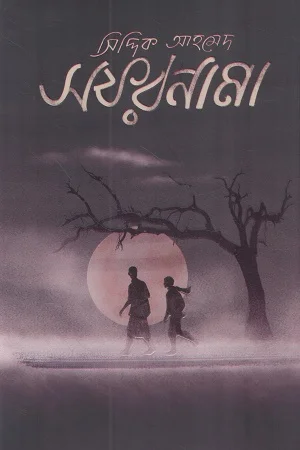সফরনামা