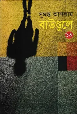 বাউণ্ডুলে-১৩
