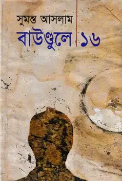 বাউণ্ডুলে-১৬