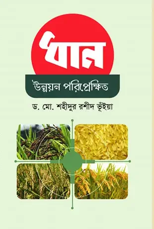 ধান উন্নয়ন পরিপ্রেক্ষিত