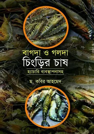 বাগদা ও গলদা চিংড়ির চাষ