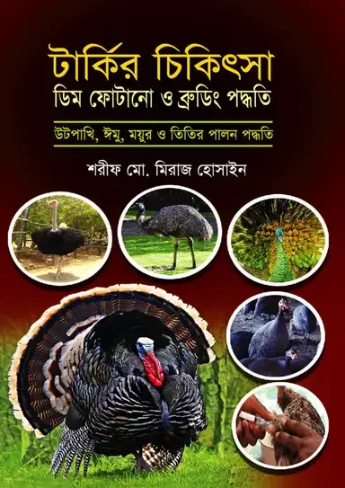 টার্কির চিকিৎসা ডিম ফোটানো ব্রুডিং পদ্ধতি
