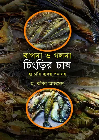 বাগদা ও গলদা চিংড়ি চাষ