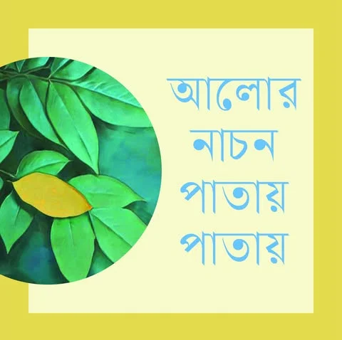 আলোর নাচন পাতায় পাতায়