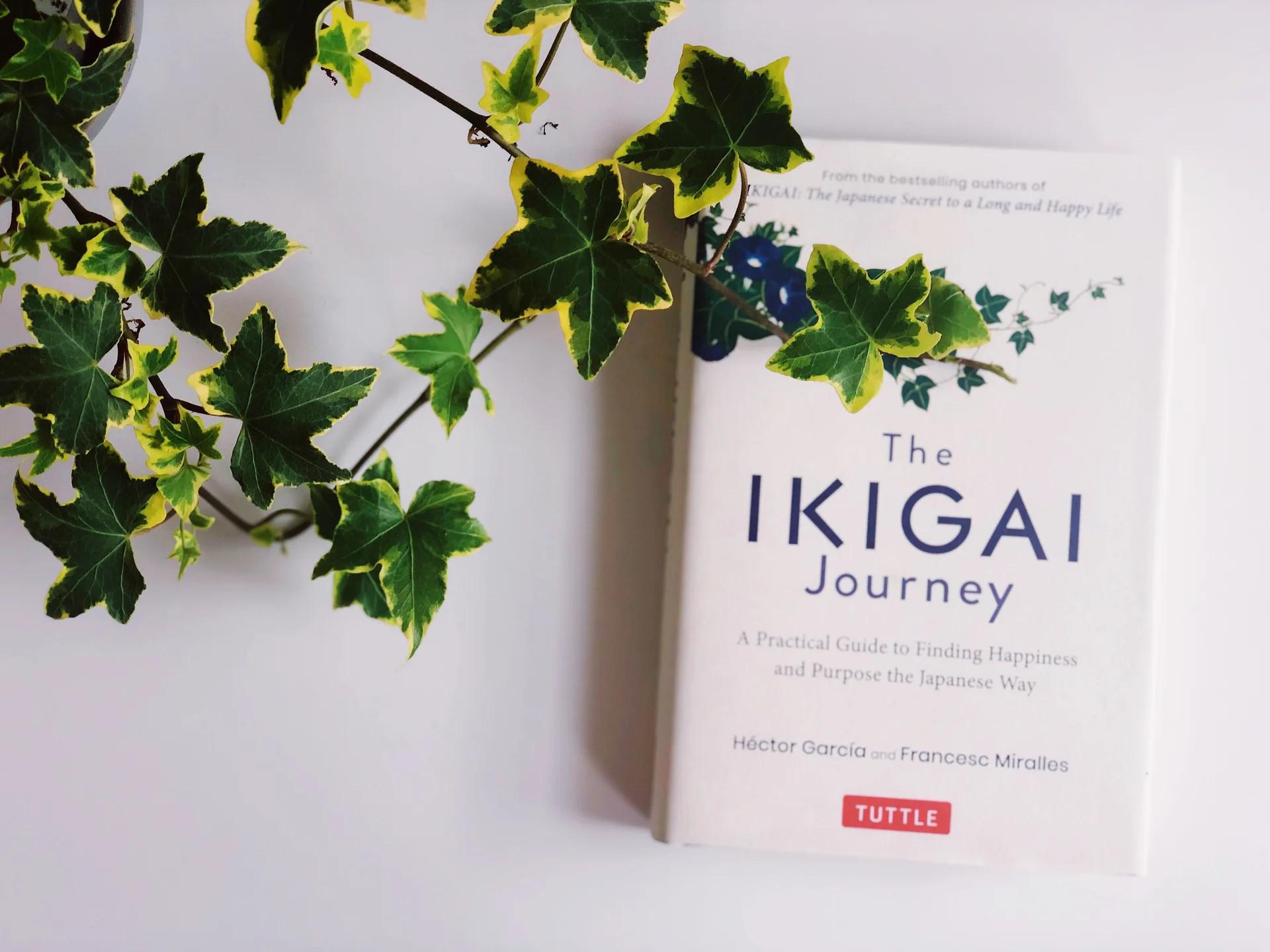 Ikigai Journey