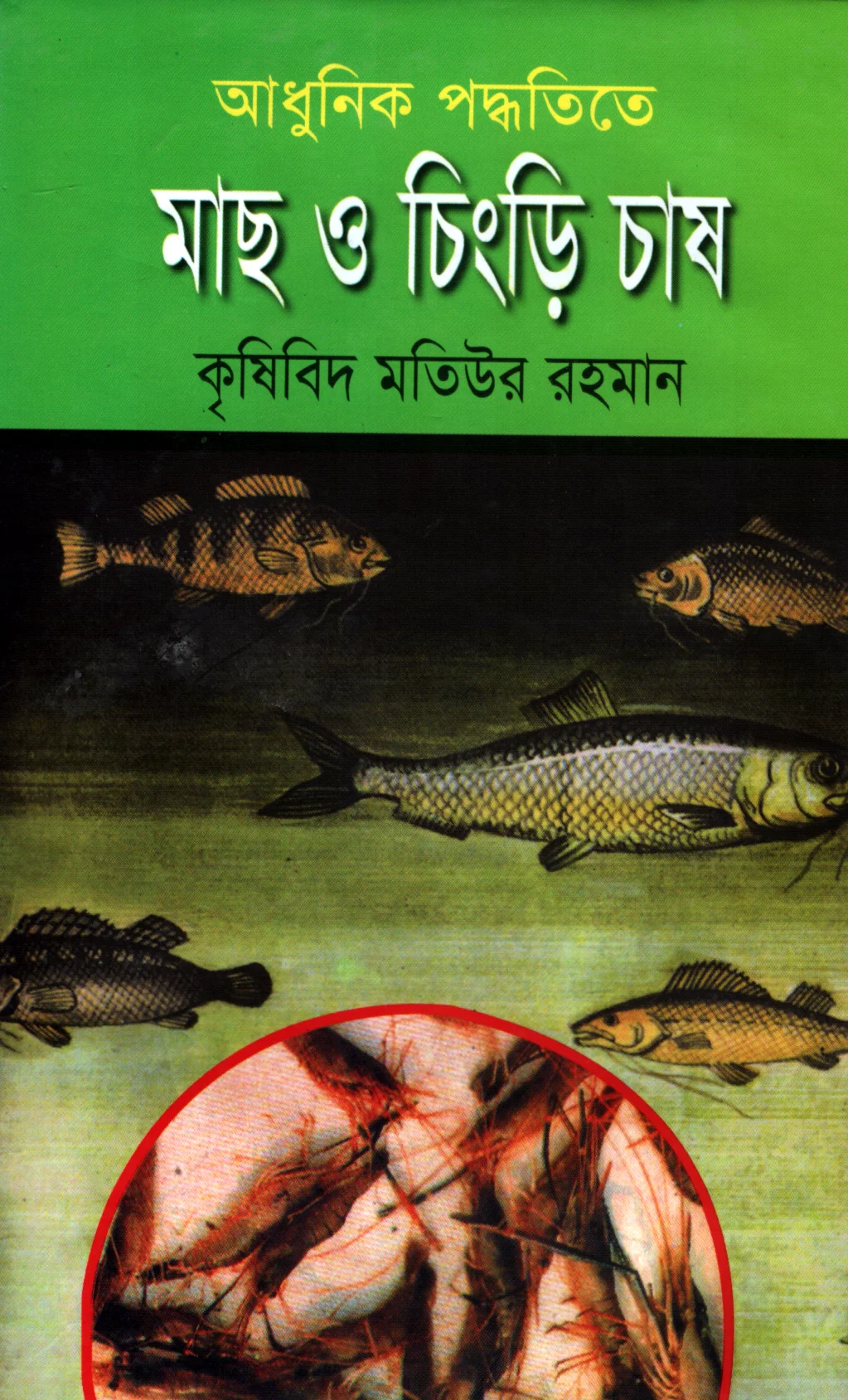 আধুনিক পদ্ধতিতে মাছ ও চিংড়ি চাষ