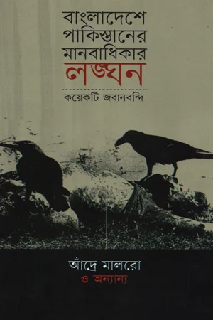 বাংলাদেশে পাকিস্তানের মানবাধিকার লঙ্ঘন : কয়েকটি জবানবন্দি