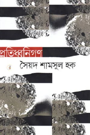 প্রতিধ্বনিগণ