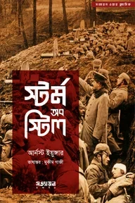 স্টর্ম অব স্টিল